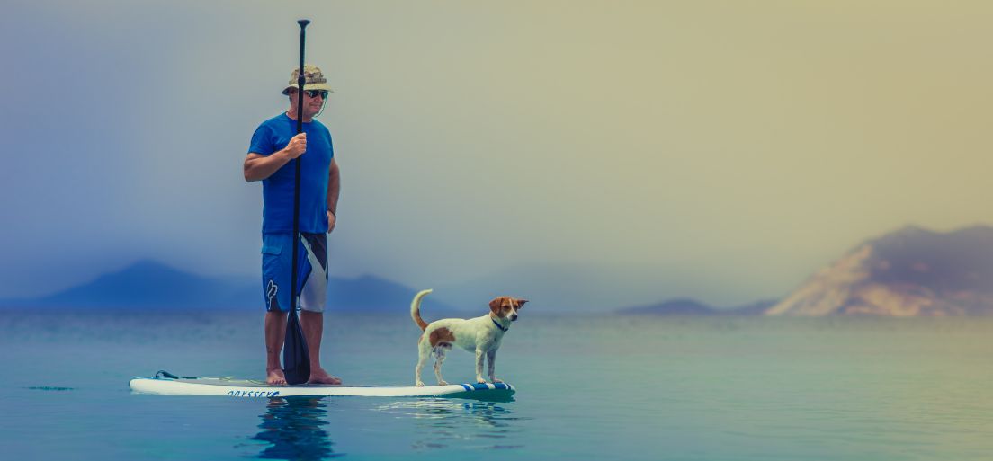 Fekhely méretválasztás - Hogyan mérjük le a kutyát, hogy kényelmesen nyújtózhasson
