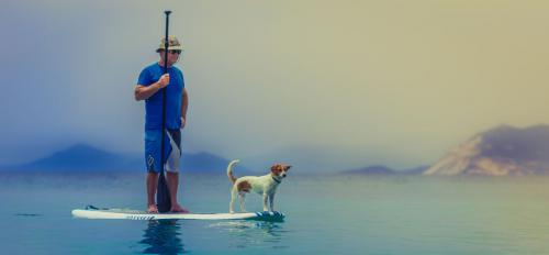 Fekhely méretválasztás - Hogyan mérjük le a kutyát, hogy kényelmesen nyújtózhasson